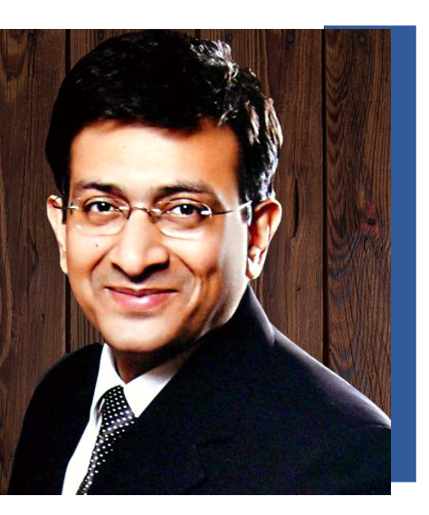 freelance seo expert in india